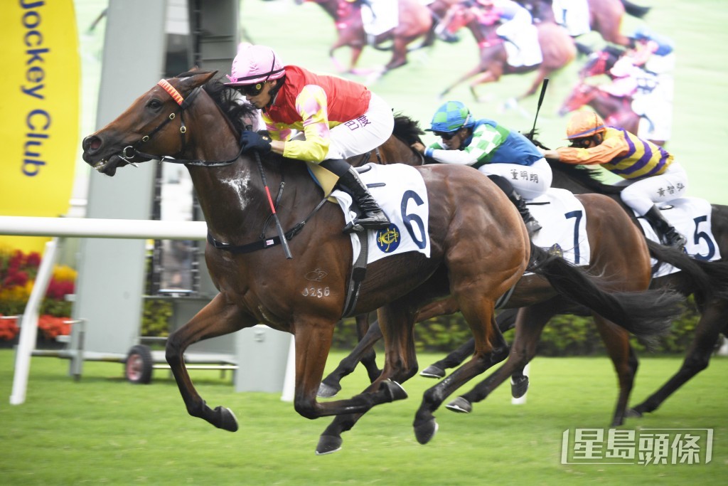  「祝願」上仗在二級賽主席錦標力拼「金鑽貴人」僅負跑第二。