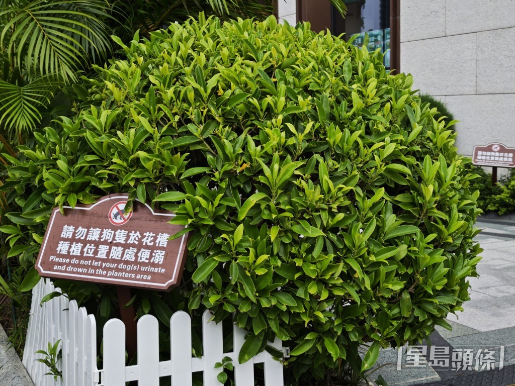 有啟德屋苑於閘外花槽位置張貼告示提醒狗主。陳俊豪攝 有啟德屋苑於閘外花槽位置張貼告示提醒狗主。陳俊豪攝