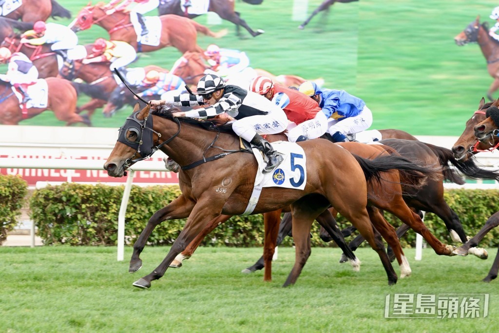 「馬鳳凰」勝後進度保持,有機會爭取連捷。 「馬鳳凰」勝後進度保持,有機會爭取連捷。