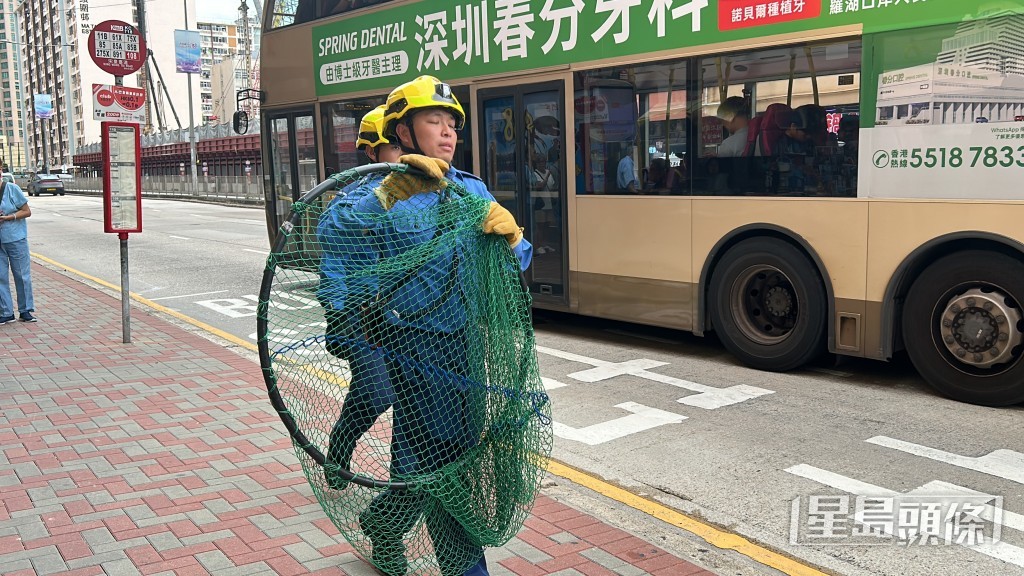 消防帶來大網營救。 消防帶來大網營救。