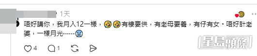 網民意見（帖文留言截圖）