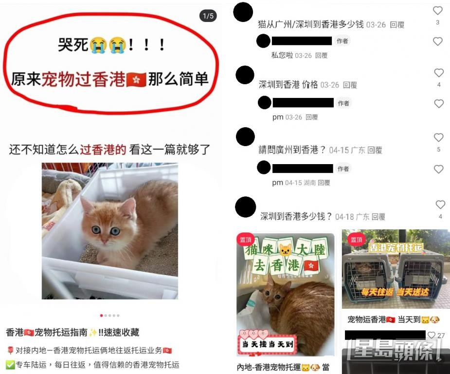 在「小紅書」上,多間寵物託運公司聲稱可以免隔離託運動物回港。 在「小紅書」上,多間寵物託運公司聲稱可以免隔離託運動物回港。