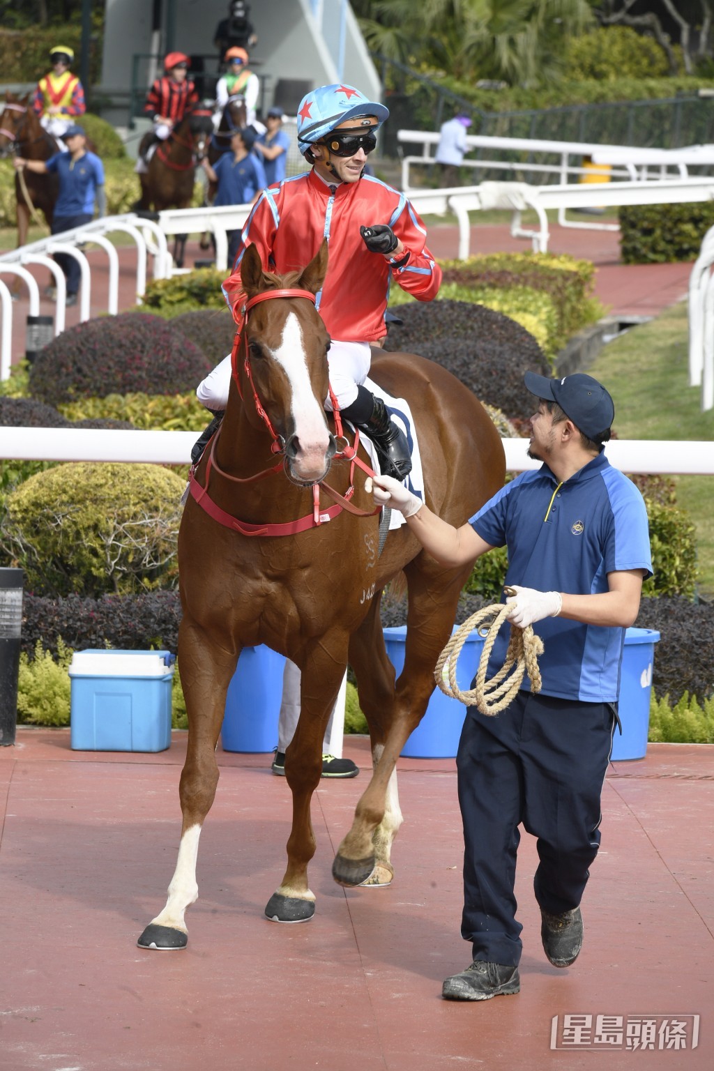 「逍遙人生」前仗在田草千二米走入冷位，上場再跑同程迅即贏馬補中。