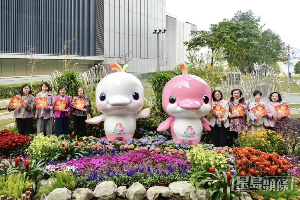 中华白海豚被挑选为去年第15届全国运动会的吉祥物。