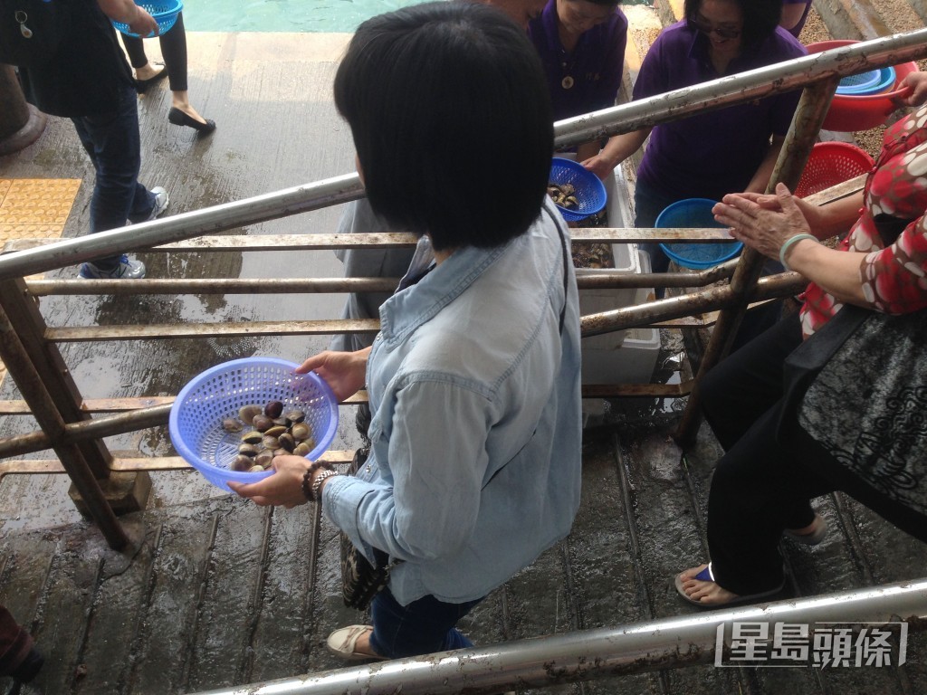 漁護署提醒市民,放生動物前必須謹慎思量。資料圖片 漁護署提醒市民,放生動物前必須謹慎思量。資料圖片