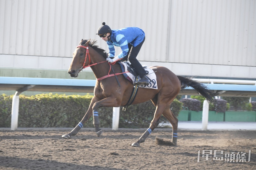 「八仟好运」胜后更进一步。