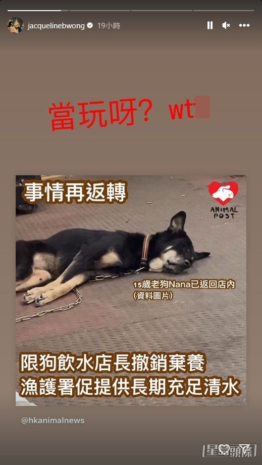 黃心穎有關注早前《東張西望》報道過，關於老唐狗被指限制飲水，店主決定棄養事件的最新消息，並激動爆粗。