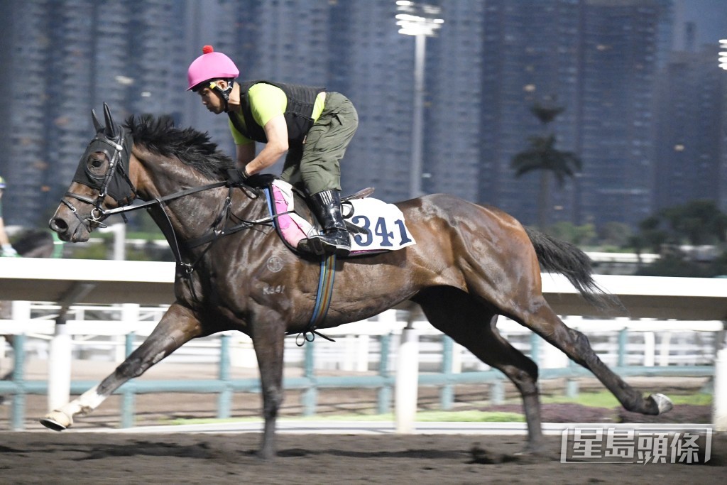  「黃金騎士」力度依然充沛，勇銳無比毫無疲態。