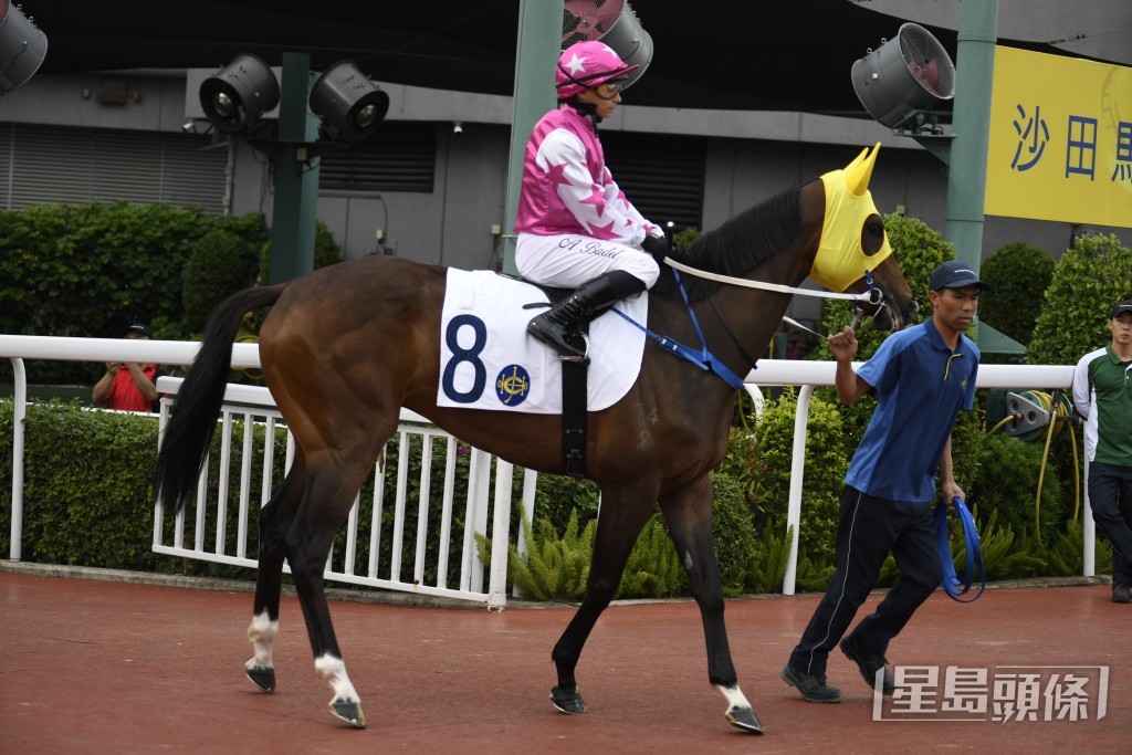 「春風萬里」今次再跑贏馬路程。