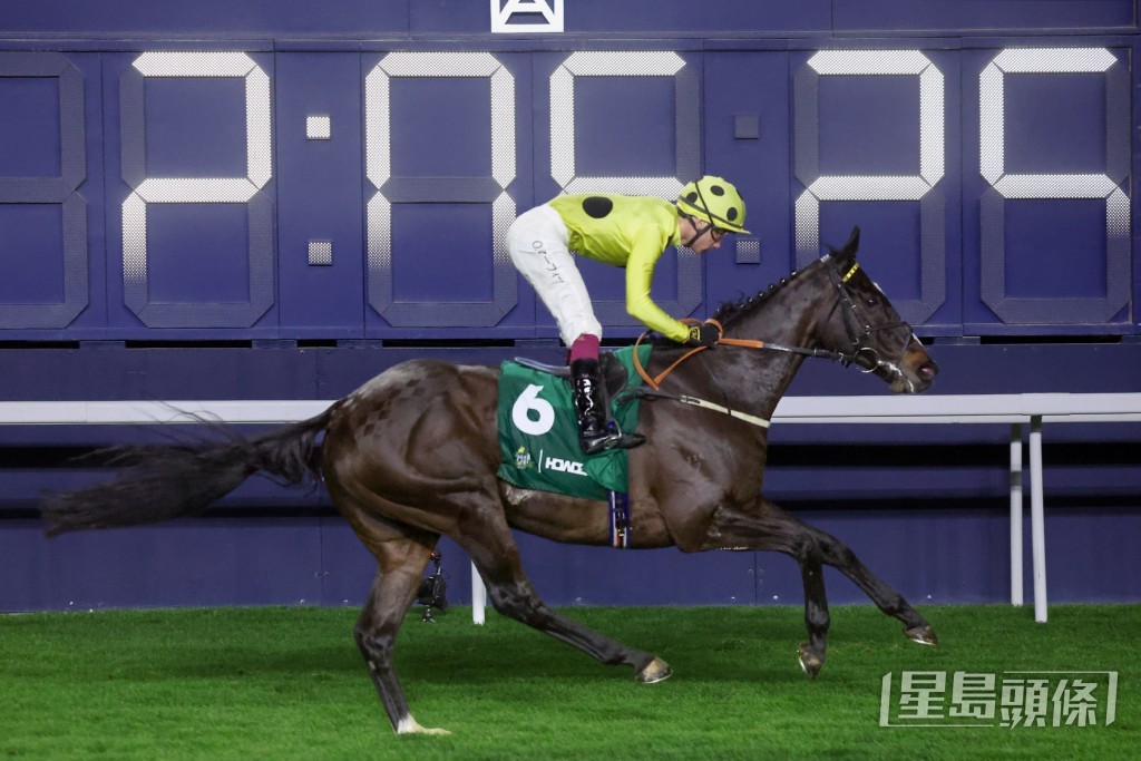 「御冠軍」攻下2026年新未來城草地盃。