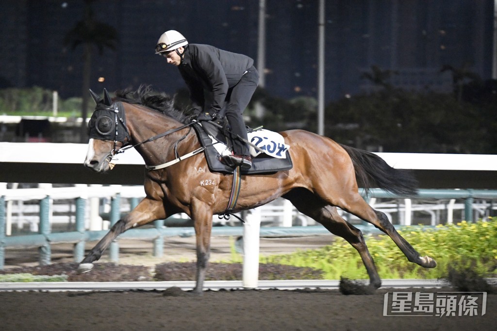 「天星」勇况保持有余。