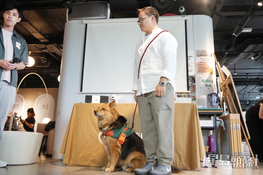 訓犬師文凱不建議一般狗主刺激施襲犬隻逼使其鬆口,因為狗主未必能控制犬隻的後續行為。 訓犬師文凱不建議一般狗主刺激施襲犬隻逼使其鬆口,因為狗主未必能控制犬隻的後續行為。