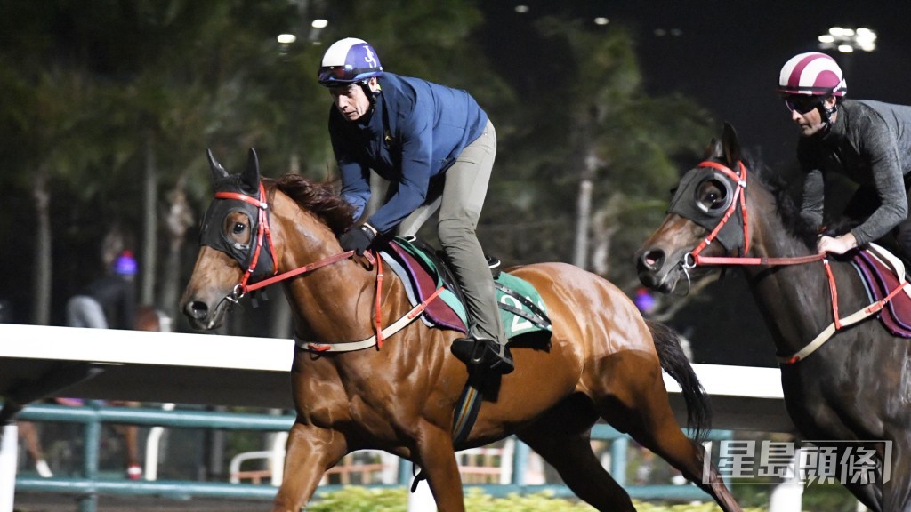「魅力寶駒」密跑毫無疲態，馬身飽滿。