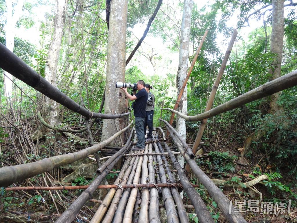 程詩灝現時在馬來西亞一處濕地營運藍碳貿易。