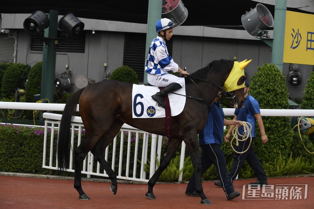 「愛心神駒」長力十足，今次競逐羸馬路程。