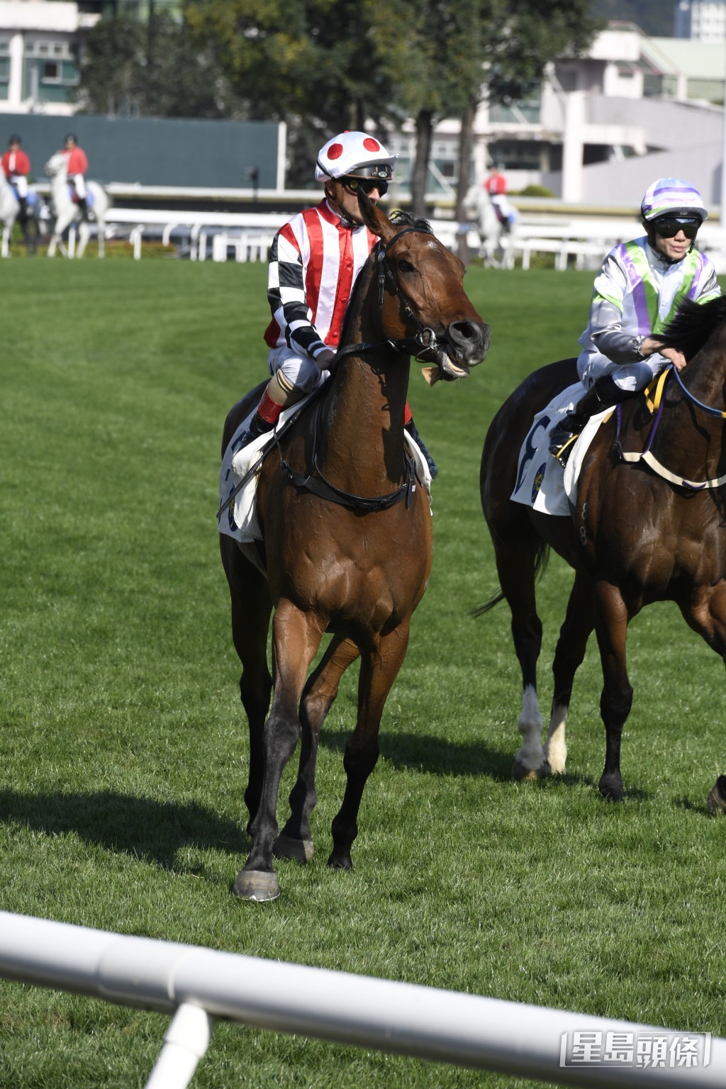 「欢乐至宝」今次出战谷草千二米，按理应该最合脚法。
