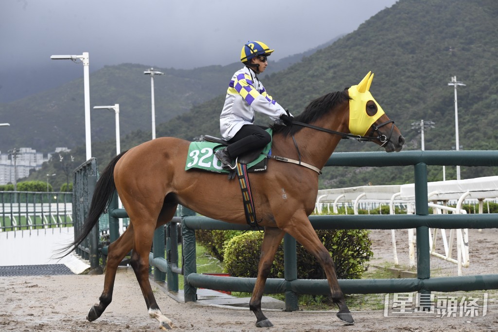 希威森表示今次会临场视乎对手取位，再决定『黄脚𫚭』的跑法。