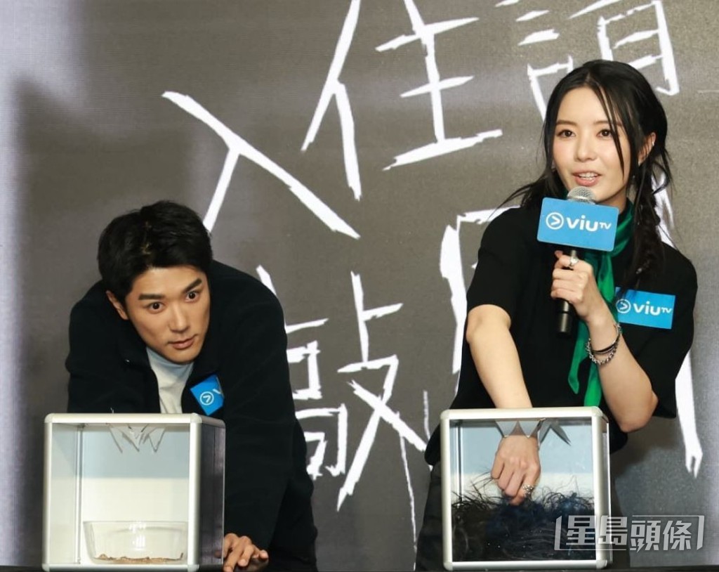 莫竣名、林千渟玩遊戲測試沙膽程度。 莫竣名、林千渟玩遊戲測試沙膽程度。