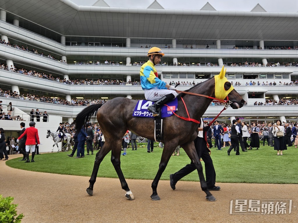 「維港智能」今仗以第六名過終點。  Mike Lam攝