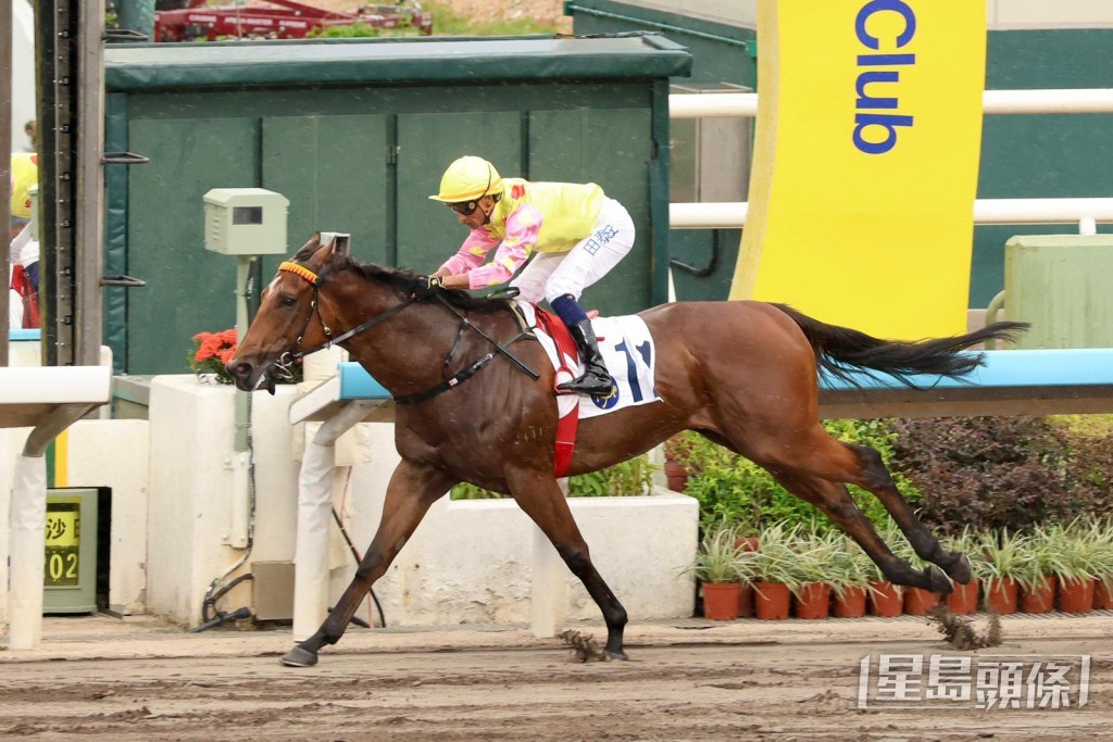 「升泷驹」将出战明日第八场二班泥地千二米。 「升泷驹」将出战明日第八场二班泥地千二米。