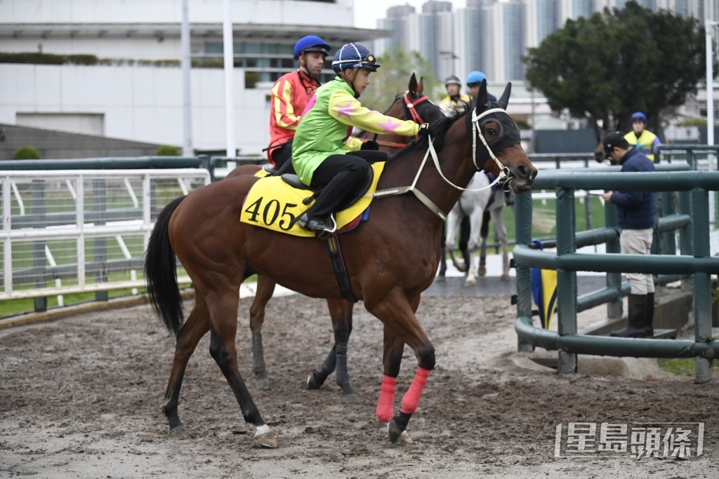 「勝萬金」神態自若雙耳烱烱，勇況依然。