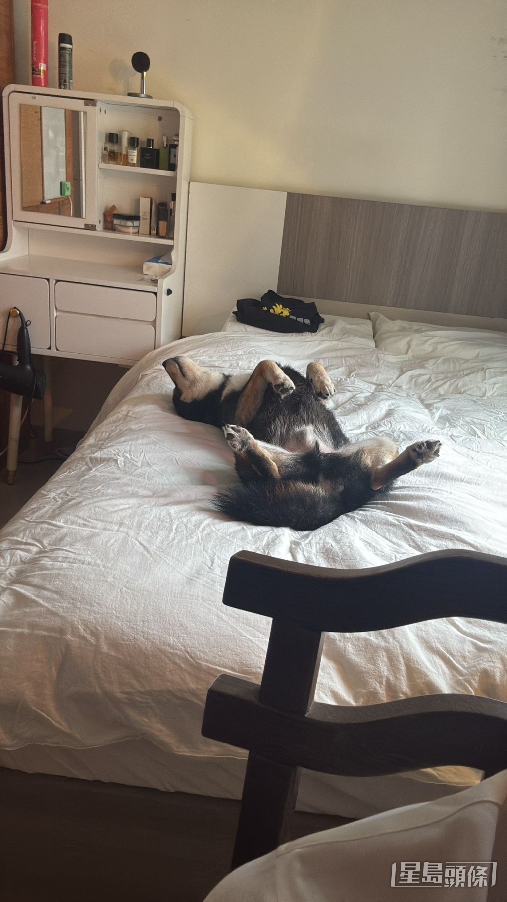Andrew和愛犬已搬往紅磡區一個大型屋苑。