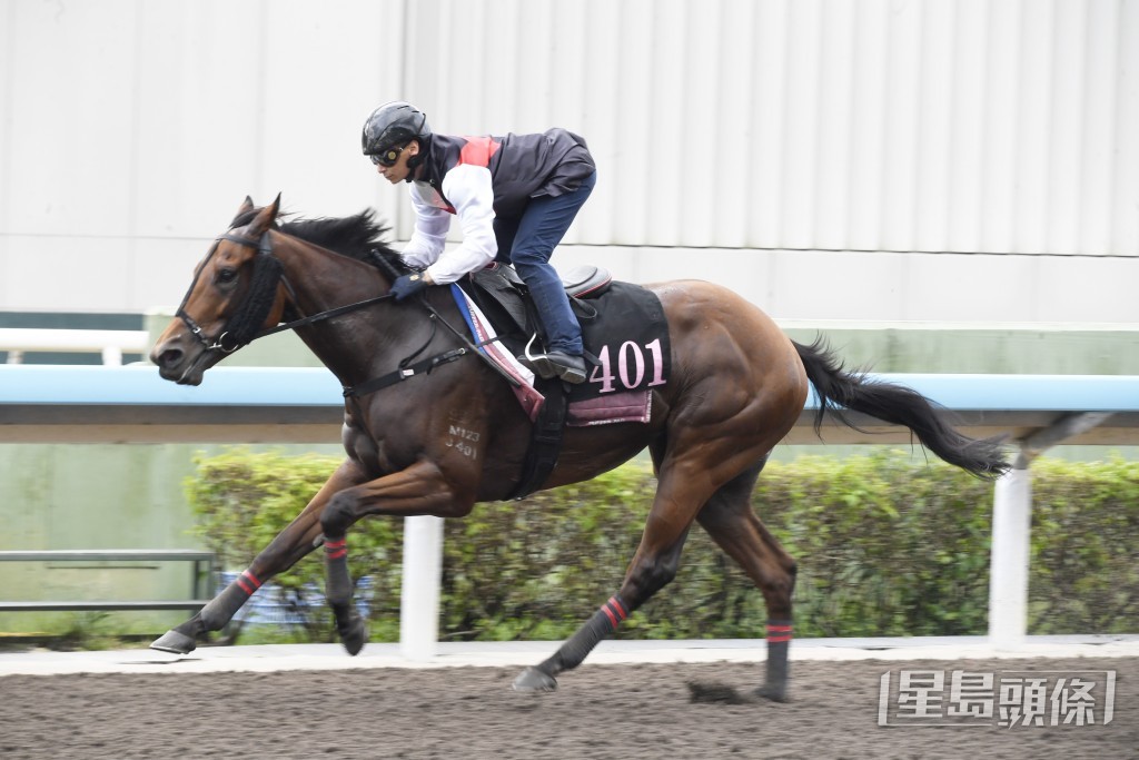 「竞骏非凡」跨步开扬有力，神采奕奕充满朝气。