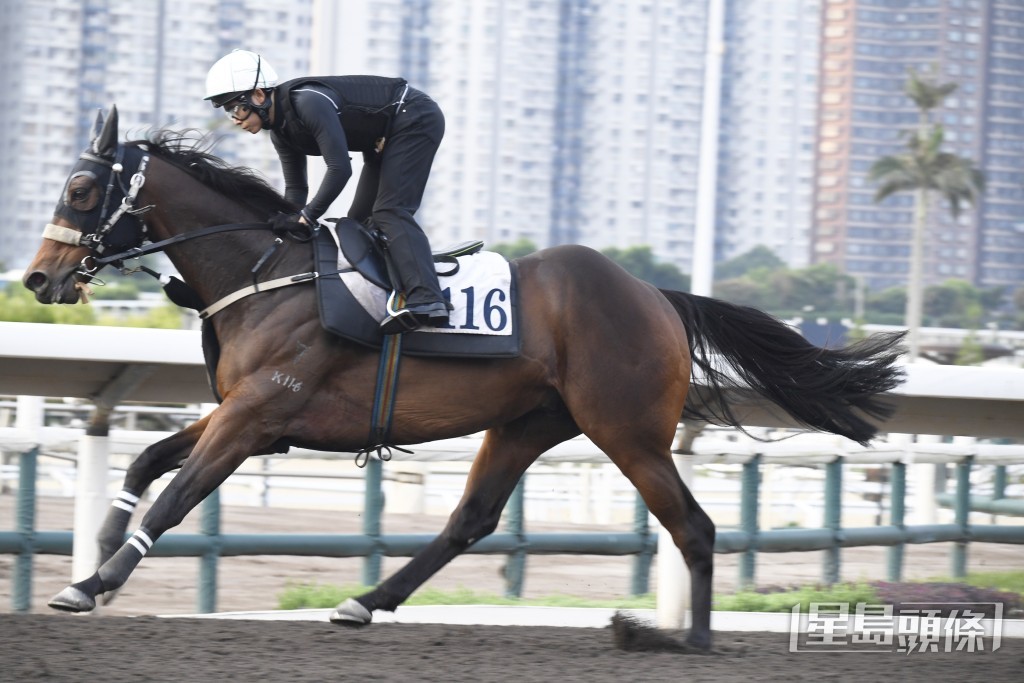 「嘉冠王」比前規矩得多，走勢爽勁有力。