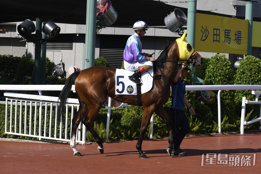 「一定掂」今日將全力爭取補中。