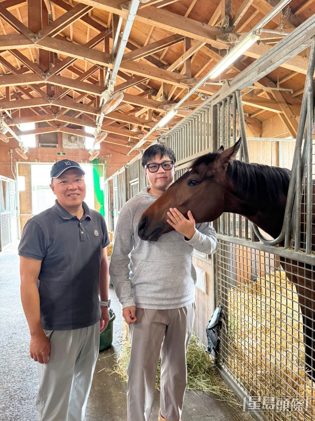蘇氏父子養的日本馬。