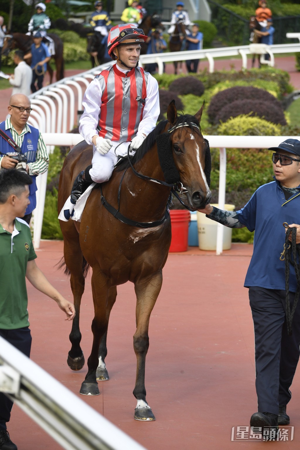 「精彩福星」上場初跑谷草一千米力拼得第三。