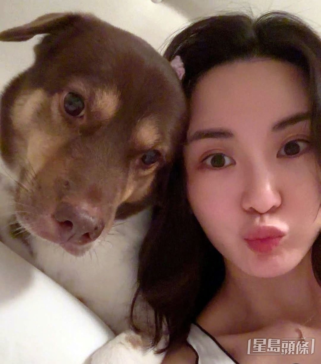 和愛犬影床照。 和愛犬影床照。