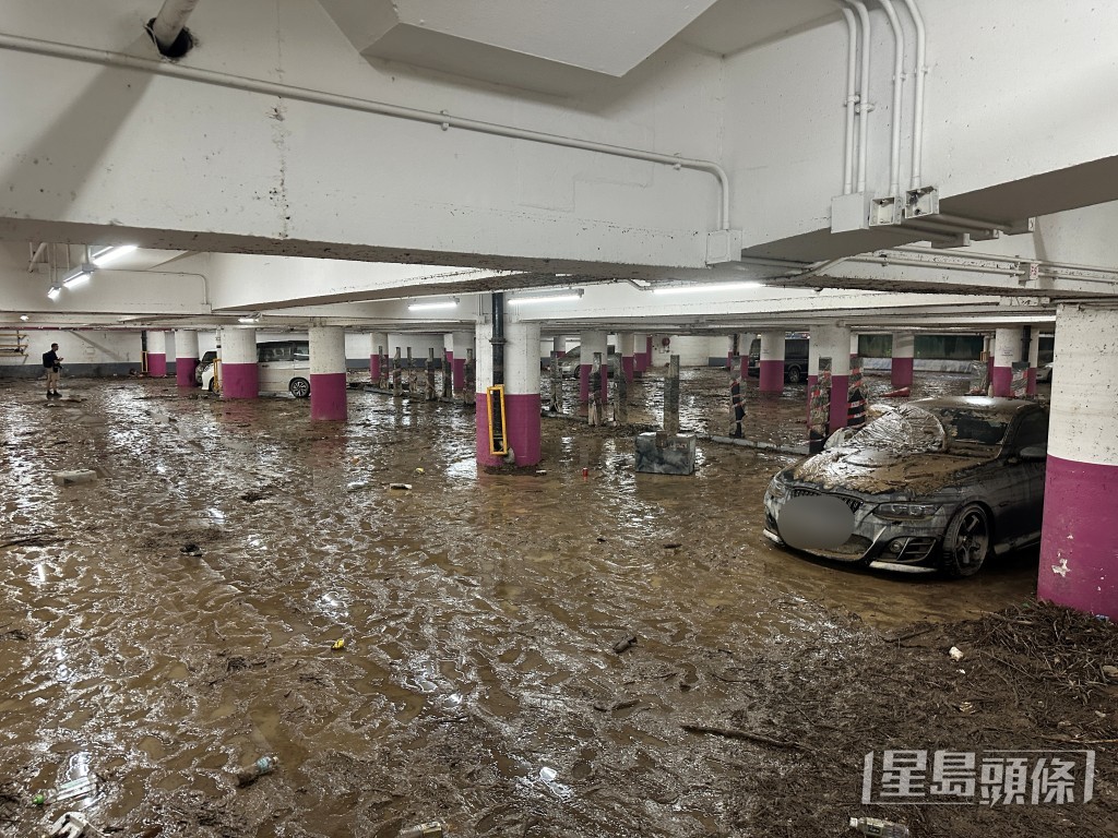 車場僅剩數部私家車。梁國峰攝