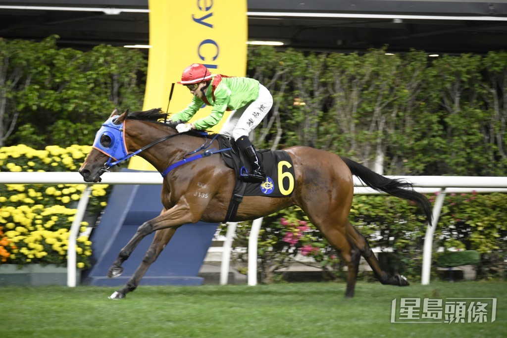 「寶成智星」明晚將出戰第四場四班1650米。