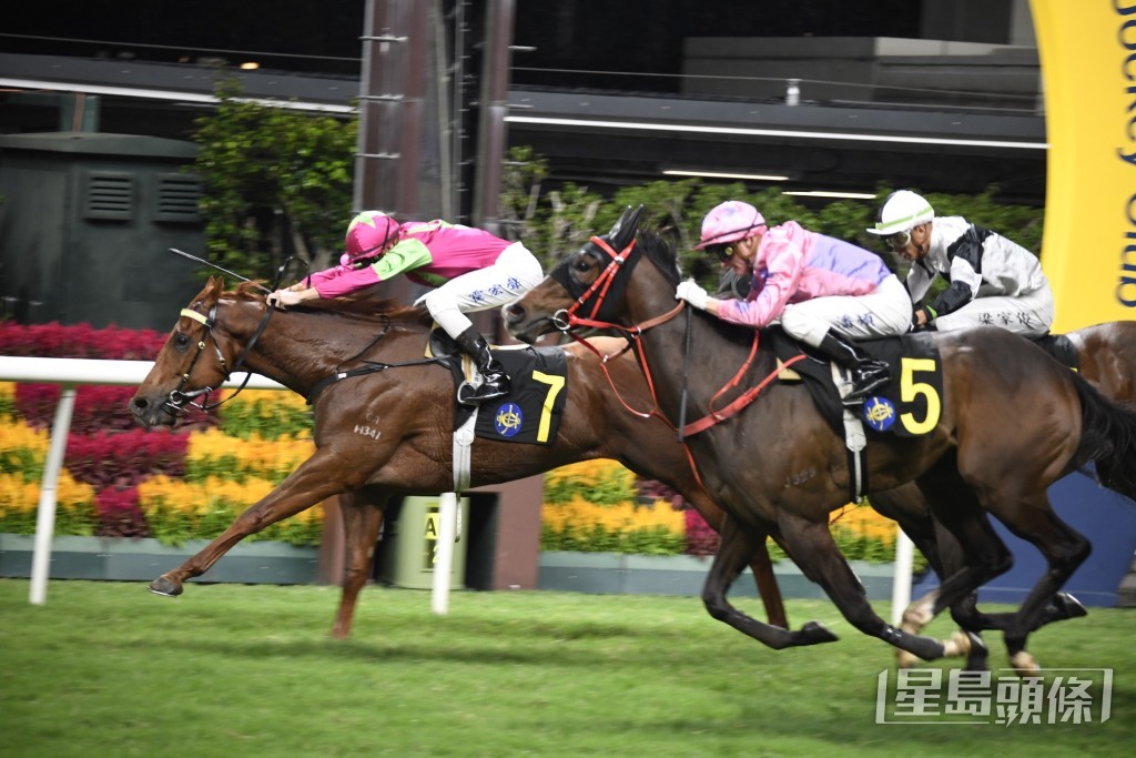 「炯炯有神」在港服役時累積兩捷。