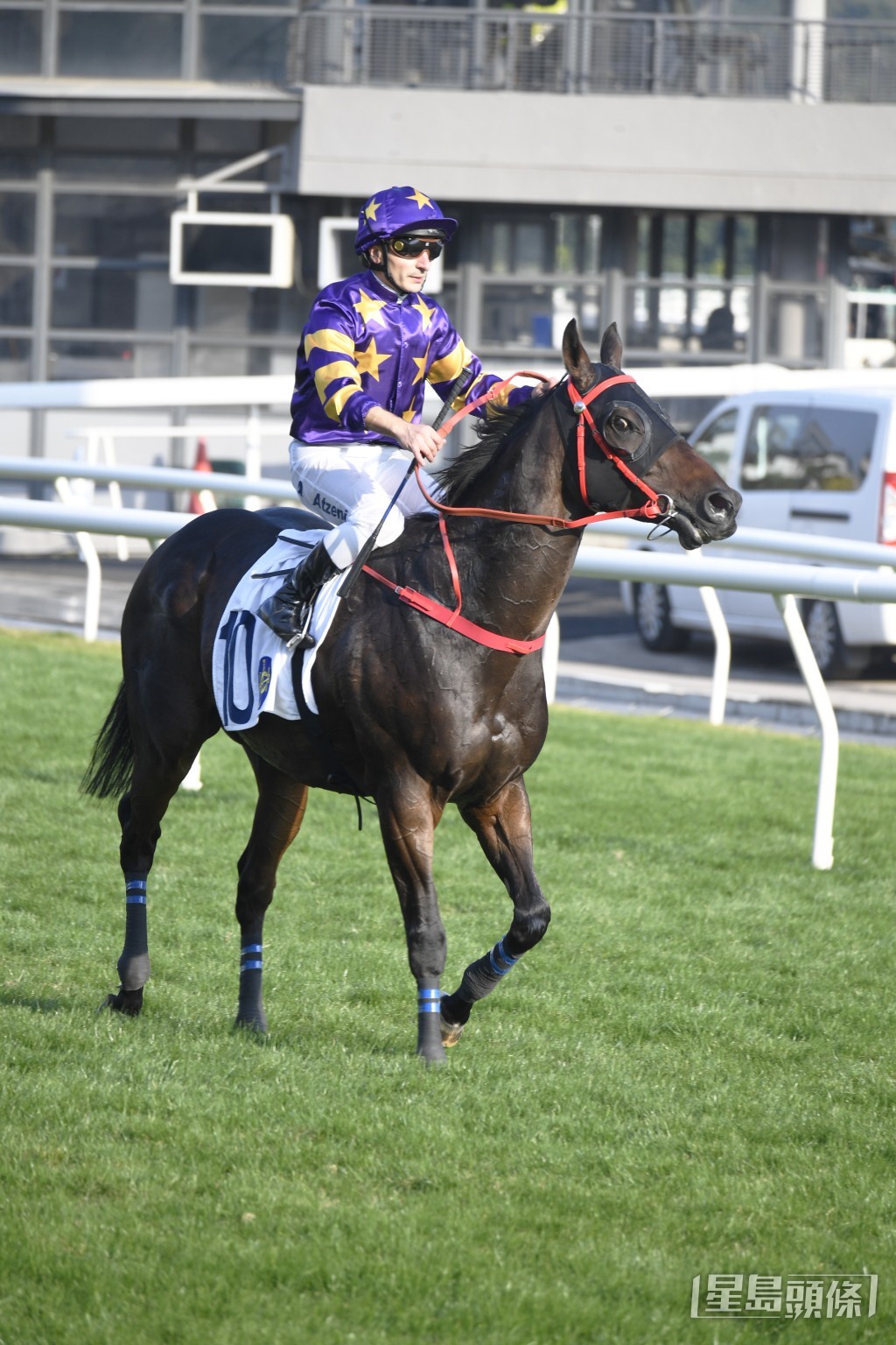  「星际快车」刚战赢出三级赛洋紫荆短途锦标。