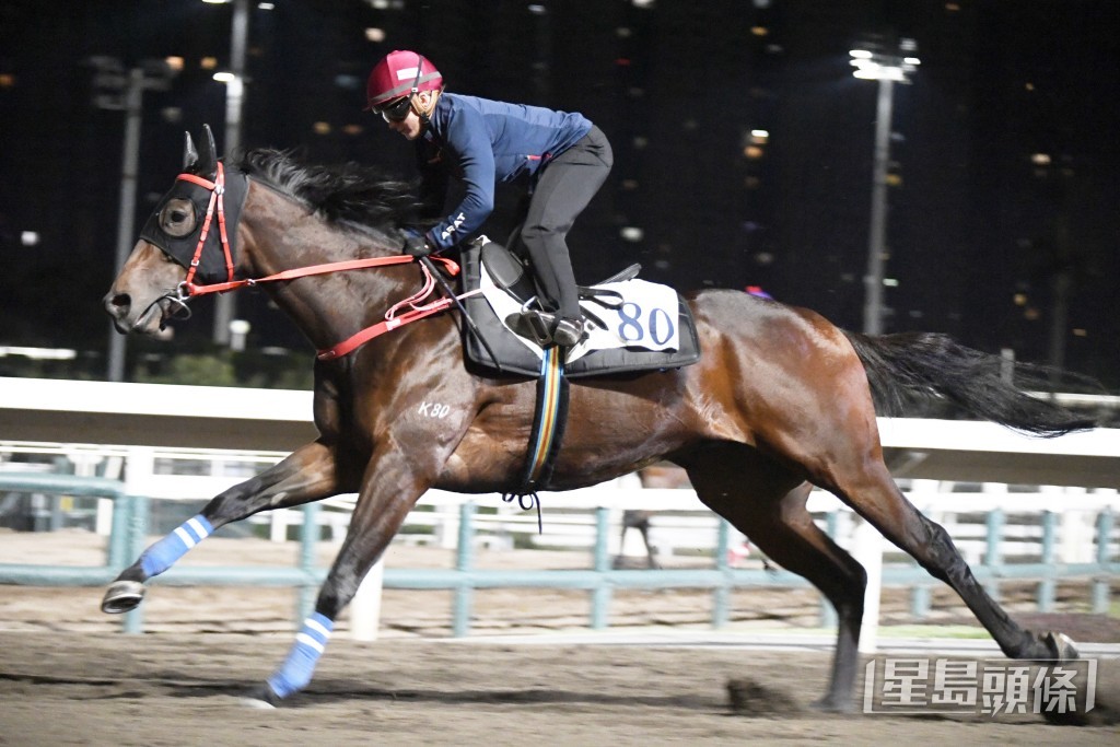 「自動自覺」步挺力勁外觀又靚，近況甚弗。