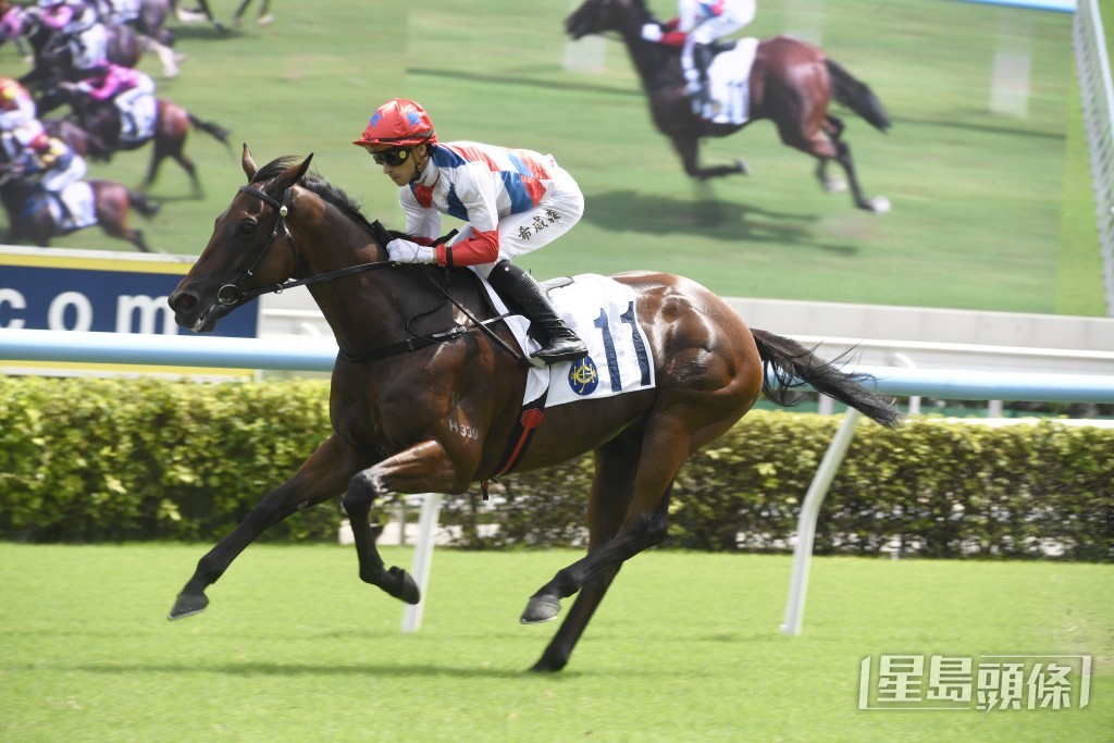「泷泽飞驹」上阵三次得一冠两季。
