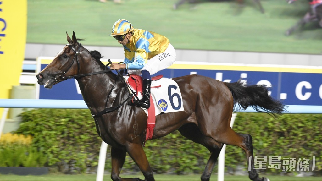 「堅先生」剛季尾升上三班仍輕勝，表現搶鏡。