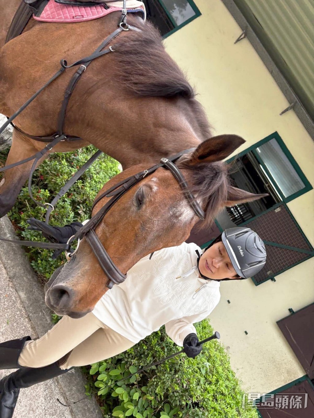 马主邓咏琪 马主邓咏琪