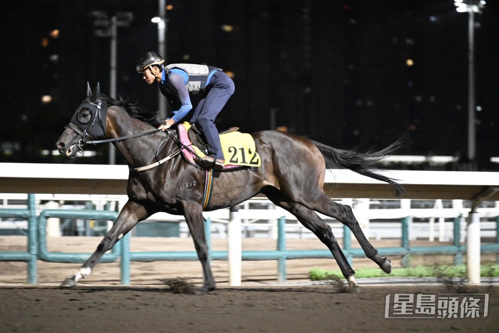 「禪勝輝煌」 「禪勝輝煌」
