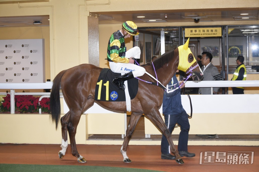 「多利神駒」今季多集中跑一哩及千八米，先後四度取得季軍。