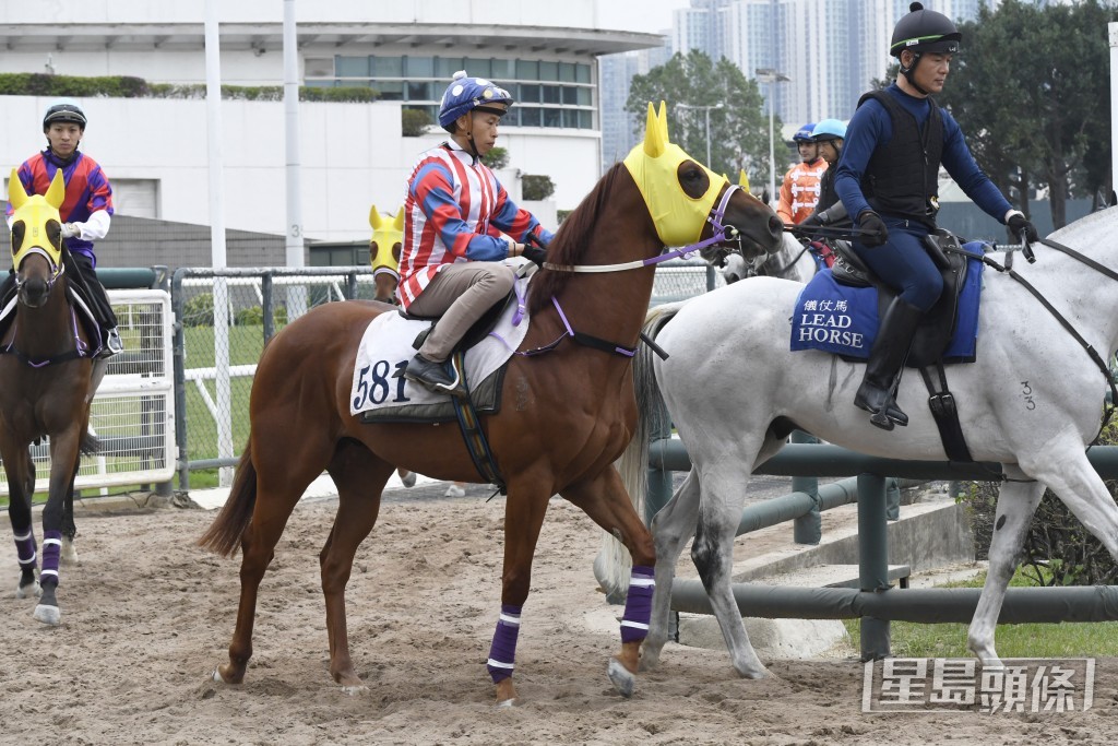 「辣得快」排十二檔跑直路有利，希望有驚喜。