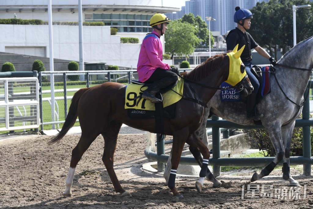 「連連勝利」今仗捲土重來，值得看高一線。