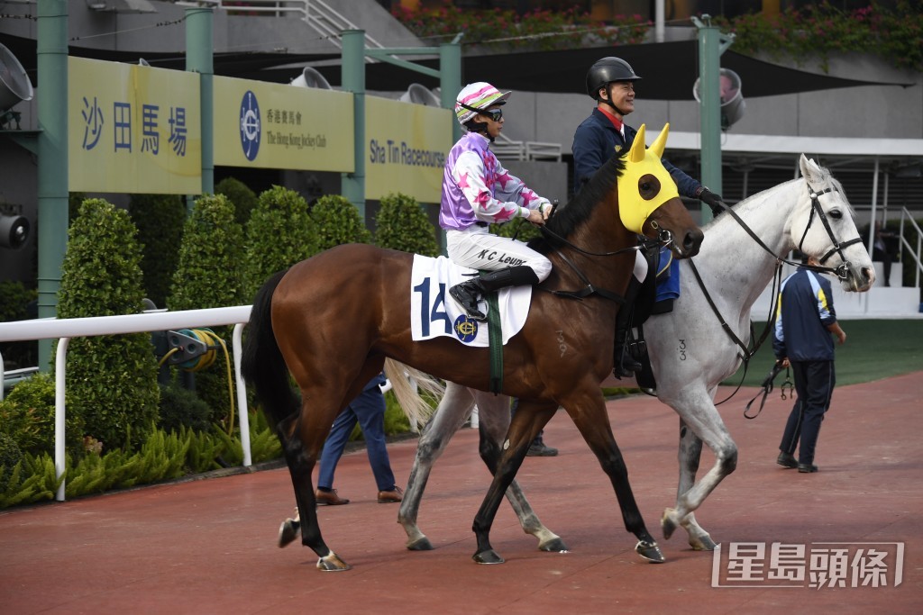 「久久為尊」周日人馬原庄配搭再戰，有力收復前失。