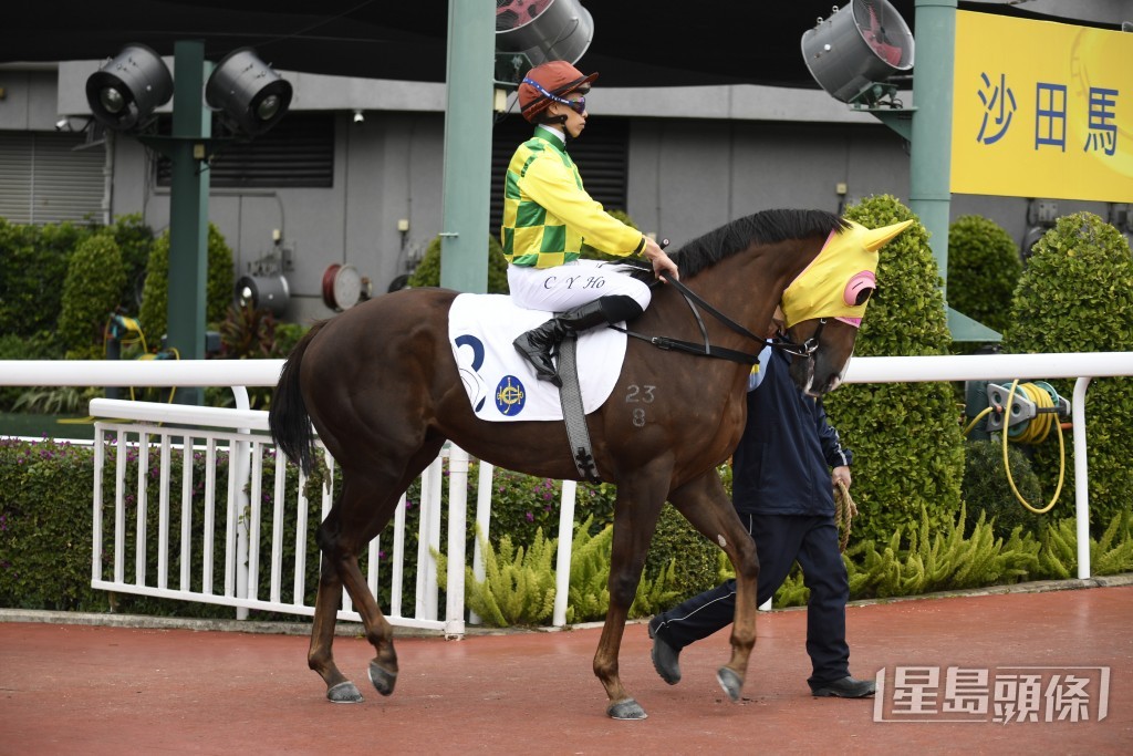 「傑出漢子」曾配希威森在谷草千二米跑第二。