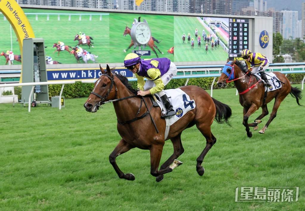 「颜色之皇」迄今在港取得三捷。 「颜色之皇」迄今在港取得三捷。