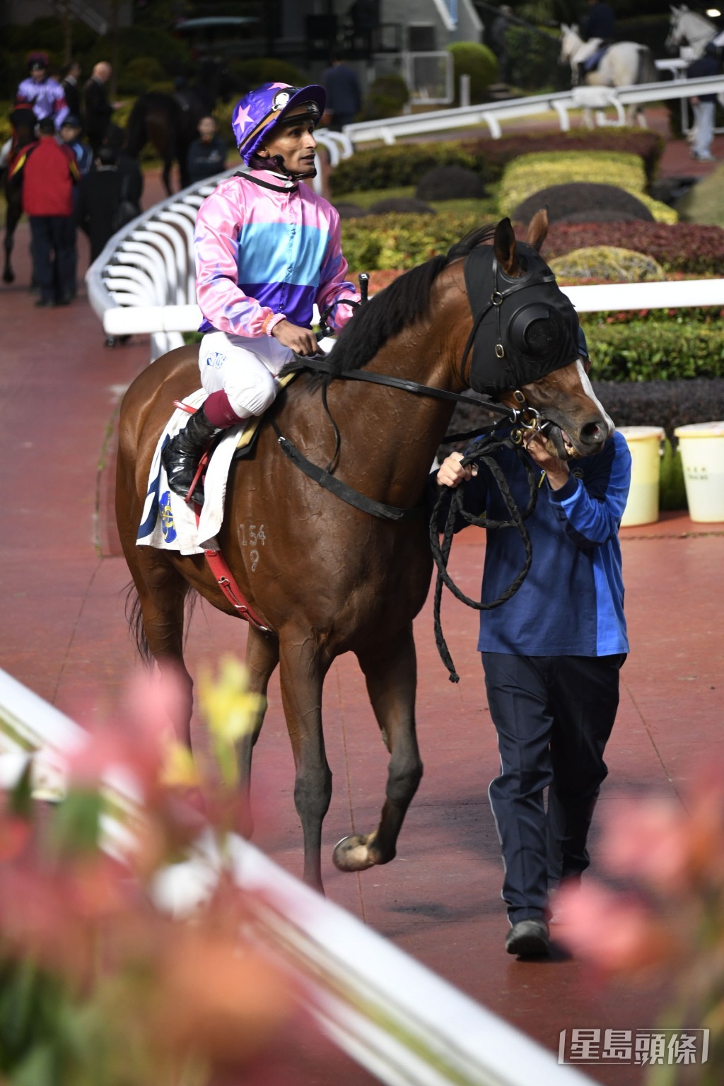 「本領輝煌」小休後再出，賽前操練充足。