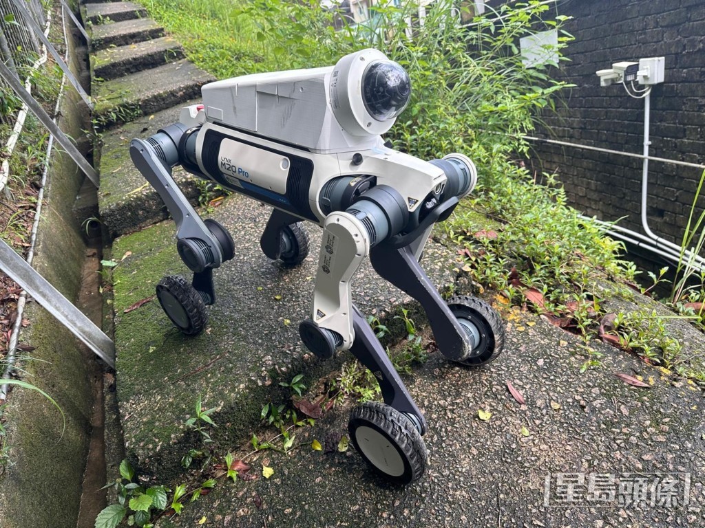 新引入的AI機械狗「啟先鋒」身手矯健,能輕易應付平地、斜坡、樓梯及各種障礙物,可全天候24小時負責高風險及夜間邊界巡邏。 新引入的AI機械狗「啟先鋒」身手矯健,能輕易應付平地、斜坡、樓梯及各種障礙物,可全天候24小時負責高風險及夜間邊界巡邏。