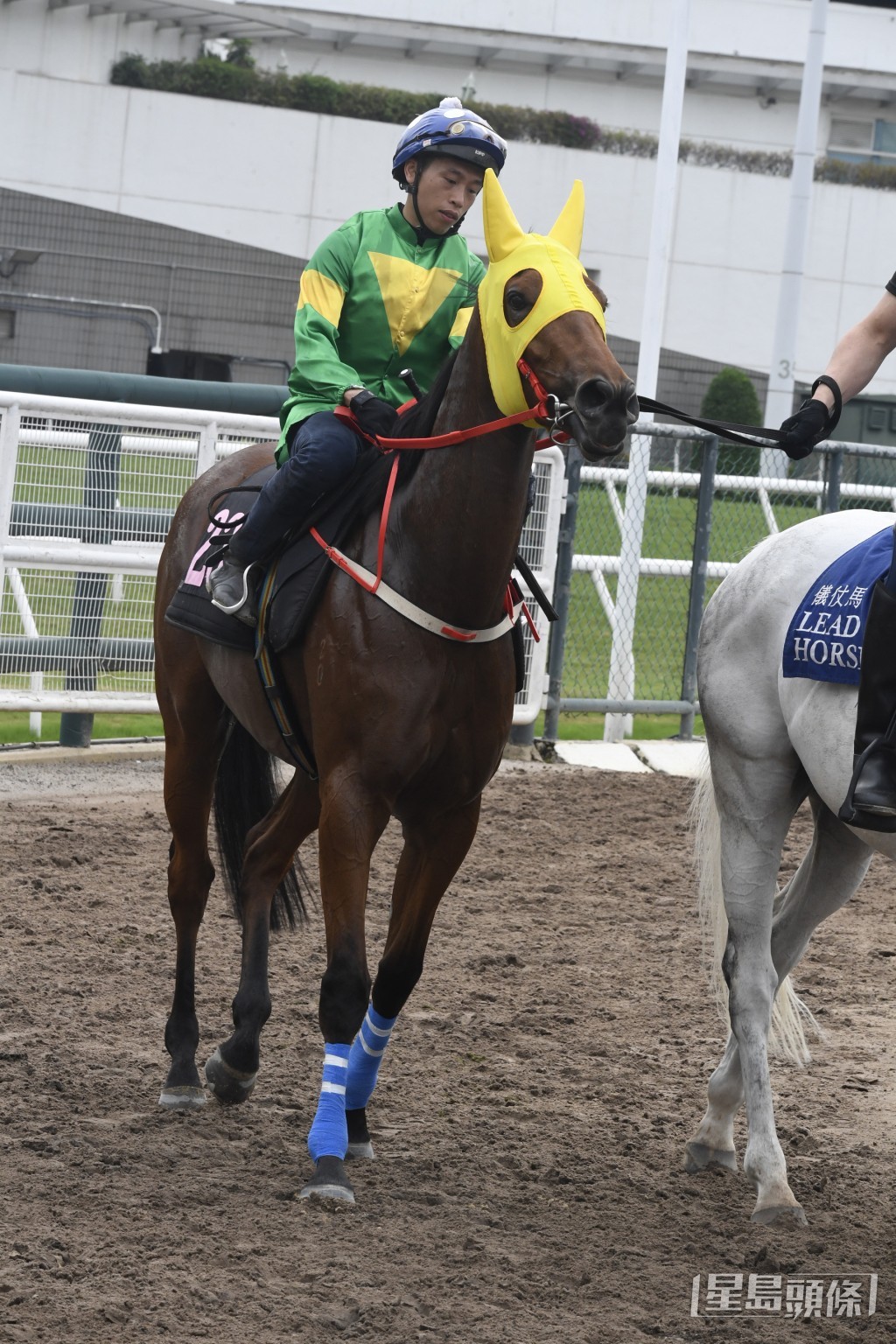 「天天耍樂」如能在周末順利打開勝門，對於馬主來說實屬美事。